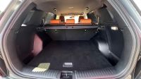 SSANGYONG Torres 1.5 T-GDI Forest Edition*Vollausstattung*